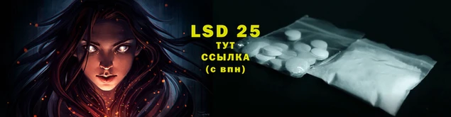 твердый Дмитриев