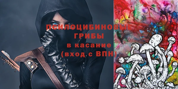 ГАЛЛЮЦИНОГЕННЫЕ ГРИБЫ Дмитровск