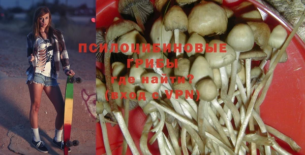твердый Дмитриев