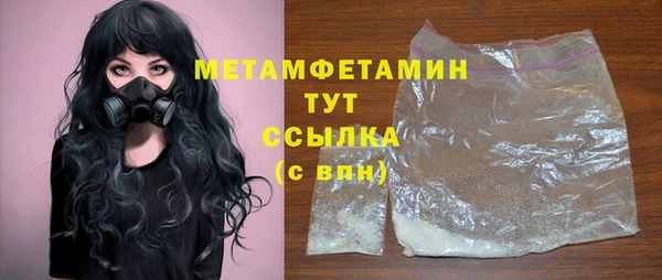 прущие грибы Вязьма