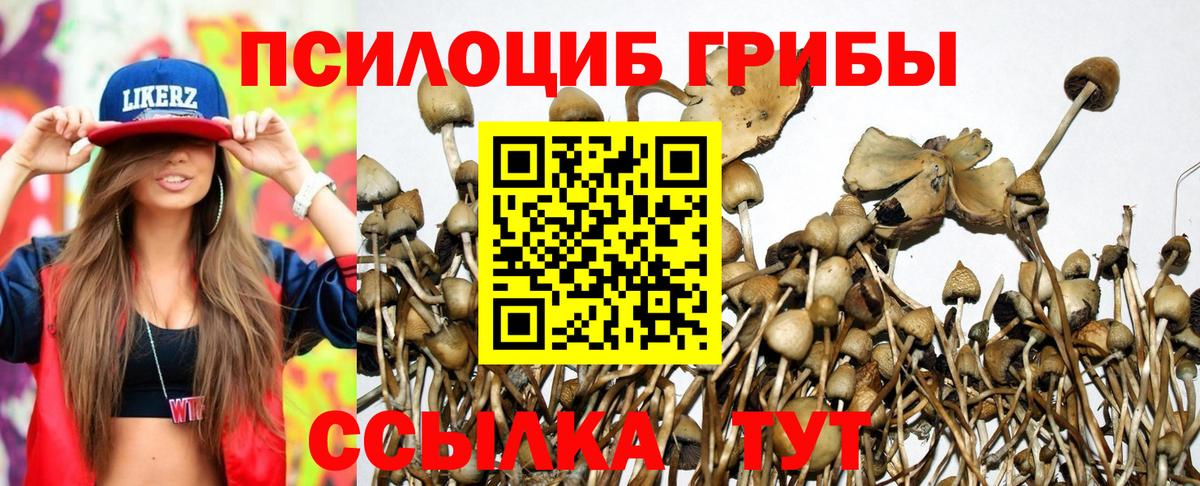 Галлюциногенные грибы Cubensis Кириши