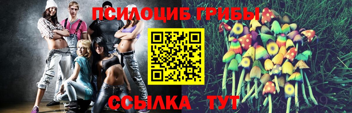 Галлюциногенные грибы MAGIC MUSHROOMS  Вход с VPN  Галлюциногенные грибы Psilocybe  Кириши 